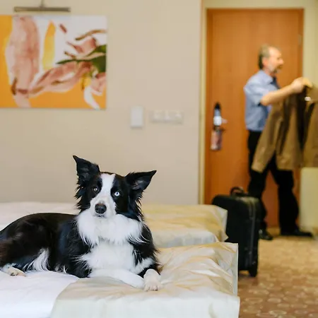 Corso 4* Pécs